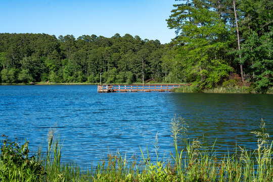 Fototapeta Fishing Pier at Tyler State Park