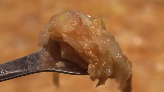 もんじゃ焼きのクローズアップ 東京の伝統的な庶民の食事