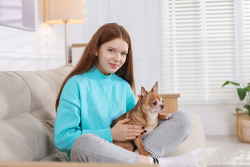 Teenage girl with her cute Chihuahua dog on sofa at home. Space for text
