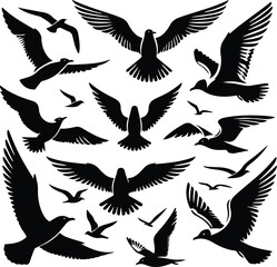Set of seagull silhouette vectors