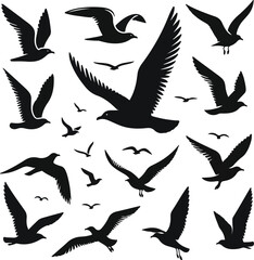 Fototapeta premium Set of seagull silhouette vectors