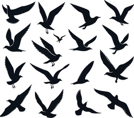 Set of seagull silhouette vectors