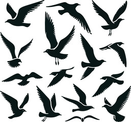 Set of seagull silhouette vectors
