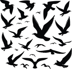 Set of seagull silhouette vectors