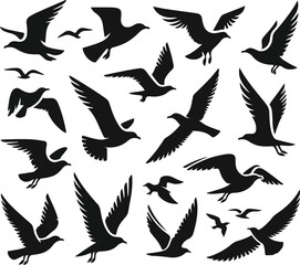 Set of seagull silhouette vectors