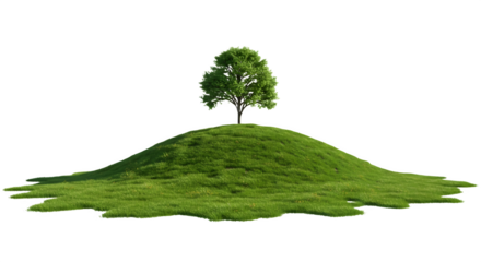Single tree atop a grassy hill. Lush green colors and serene mood.
