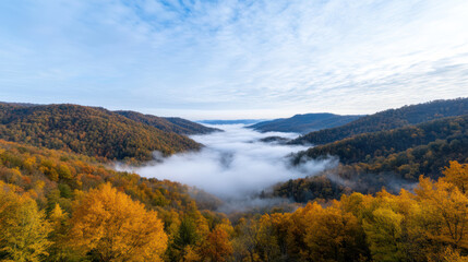 Majestic valley shrouded in mist, surrounded by vibrant autumn foliage and rolling hills