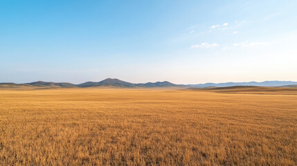 Fototapeta premium Golden grassland landscape with distant mountains under clear blue sky
