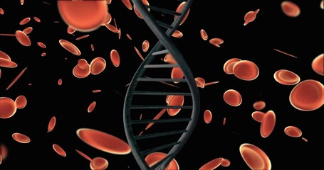 DNA helix surrounded by red blood cells, ideal for medical and scientific concepts, research publications, educational materials, and healthcare presentations. - Powered by Adobe
