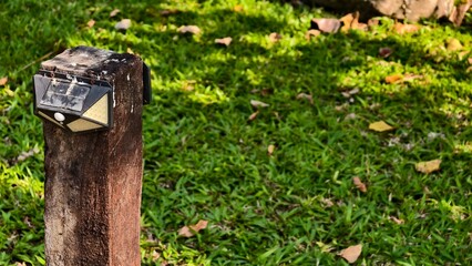 Solar Powered Garden Light on Wooden Post in Green Grass with Sunlight and Leaves