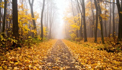 Misty autumn forest path covered in golden leaves. Magical scene.