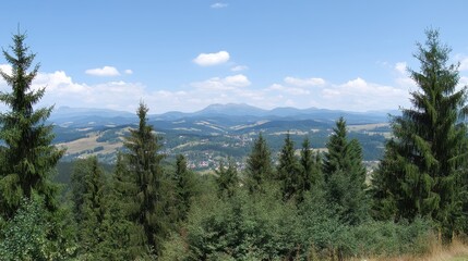 Fototapeta premium Expansive Mountain View with Evergreen Forest and Clear Blue Sky in Bright Daylight