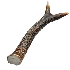 Pet Safe Antler Chew Toy Natural Browns and Durable Isolated on Transparent Background
