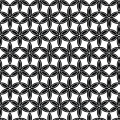 Fototapeta premium Black and White Geometric Floral Pattern