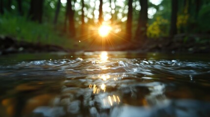Fototapeta premium Sunlight streams through a tranquil forest creek. A serene, shallow, woodland stream reflects the setting sun, creating a beautiful natural scene