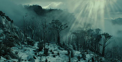 Serene Winter Landscape with Mist and Sunlight Illuminating Barren Trees in a Snow-Covered Forest