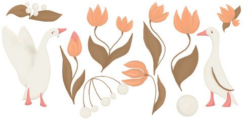 Cute Goose and Flower Illustration Elements