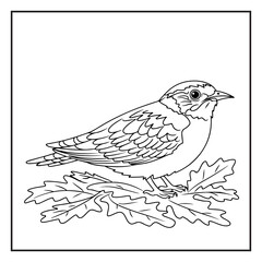 Creative Sparrow bird Printable for Children – Fun Coloring Page