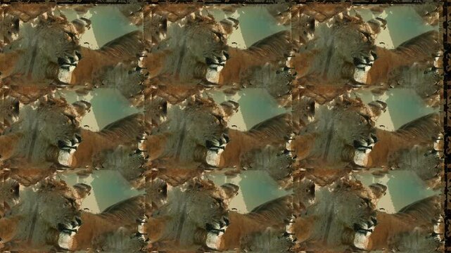 Restless pride of lions. Real footage of lionesses creates a textured, African safari big cat, wild animal patterned background . They they stand, shift and sit creating motion for kaleidoscope tiles