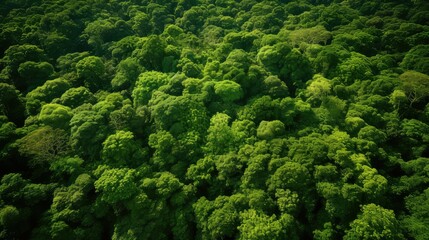 lush earth green