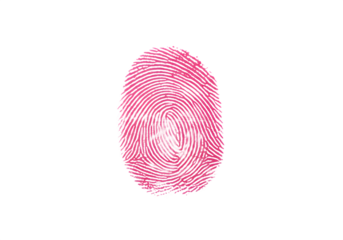 Pink fingerprint on black background. Unique identity concept.