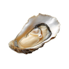 An open oyster revealing a glistening pearl inside, a symbol of elegance and preciousness.  