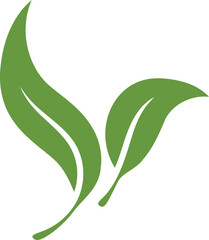 Two simple, elegant green leaves isolated on white. Represents nature, growth, health, and sustainability. Ideal for ecofriendly businesses or organic products.