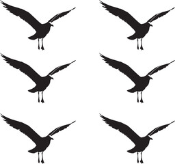 Premium vector. Set of silhouettes of Bald Eagle illustration. 