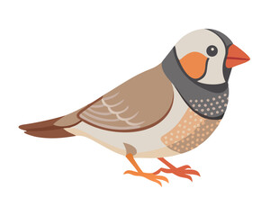 Fototapeta premium Colorful finch perched on a branch in a sunny garden during spring season