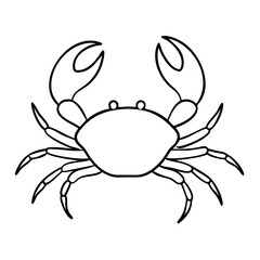 Fototapeta premium Crab illustration featuring detailed line art on a plain background showcasing its claws and body structure