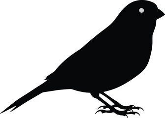 Silhouette Canary bird on a white background vector illustration. 