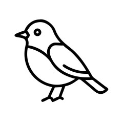 Obraz premium Colorful bird perched on a branch in a sunny garden showcasing its vibrant plumage and cheerful demeanor during springtime
