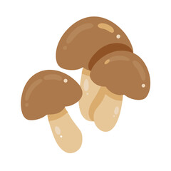 Fototapeta premium Brown mushrooms gathered together on a simple white background ready for culinary use in various dishes and recipes