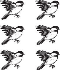 Chickadee bird silhouette set collection on white background. 