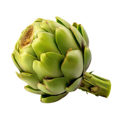 Fototapeta premium A close-up shot of a fresh, green artichoke, a culinary delight
