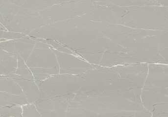 Light Grey Marble Texture with Soft White Veining Subtle Natural Stone Background Detail