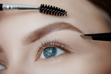 Master tweezers depilation of eyebrow hair in women, brow correction