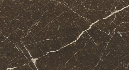 Obraz premium Dark Brown Marble Texture with Light Beige Crystalline Veins Rich Earthy Stone Background
