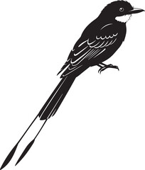 Silhouette Kingbird. Premium vector, bird symbol geometric abstract. 