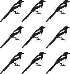 Magpie birds. Vector seamless pattern with magpie birds silhouettes. 