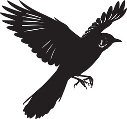 Mockingbird with wings vector. Flying Mockingbird. Vector silhouette Mockingbird. 