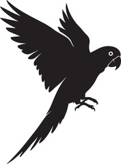 Silhouette parrot bird. Vector illustration parrot silhouette. 