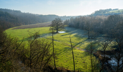 Rimed meadow on a winter morning in the Ardennes, Belgium

