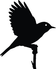 Silhouette vector illustration of a warbler bird abstract geometric. 