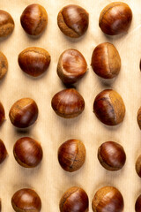 chestnut fruits for frying or baking , preparation by cutting the shells of edible chestnut nuts, top view