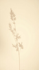 Fototapeta premium A simple, minimalist photo of a plant shadow, projecting a serene silhouette on a plain backdrop, suggesting a blend of natural beauty and artistic presentation.