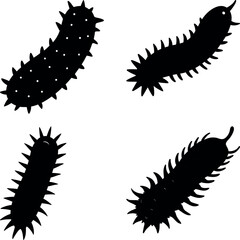 sea cucumber vector silhouette