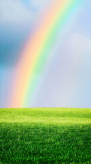 Naklejka premium Rainbow Arcs Over Lush Green Field