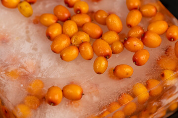 orange sea buckthorn berries, ripe orange sea buckthorn berries during deep freezing, closeup