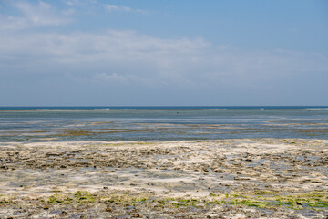 odsłonięte dno laguny podczas odpływu oceanu